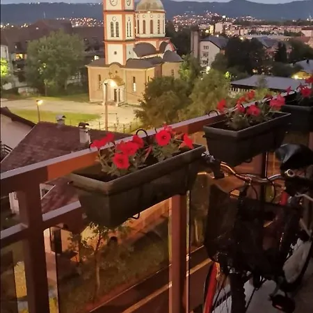 Vera *